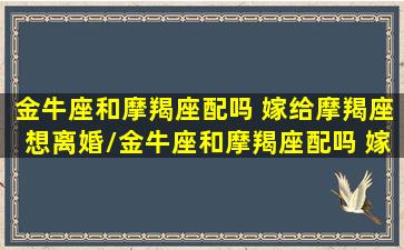 金牛座和摩羯座配吗 嫁给摩羯座想离婚/金牛座和摩羯座配吗 嫁给摩羯座想离婚-我的网站